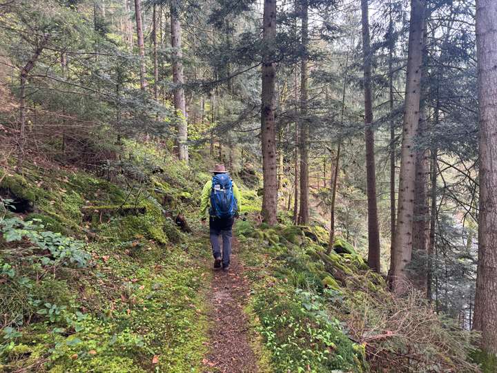 Ein Wanderer auf einem schmalen Waldweg