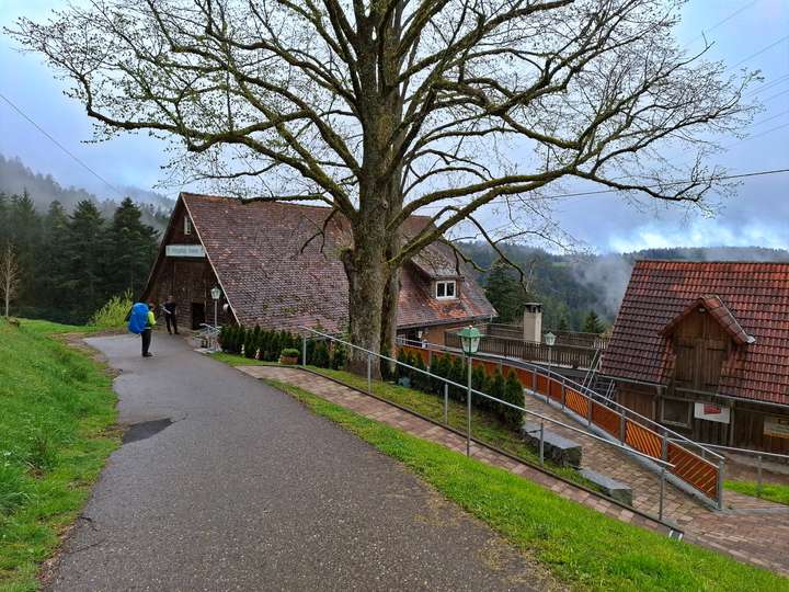 Gasthaus Heuwies mit zwei großen Linden