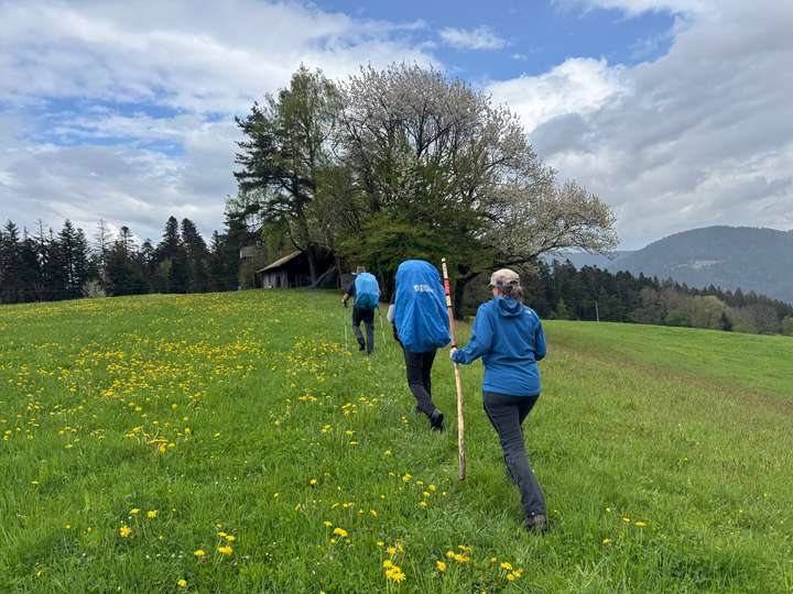 Drei Wanderer überqueren eine Wiese, kurz nachdem es geregnet hat