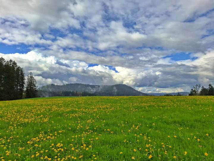 Panorama mit Wiese und vielen Wolken