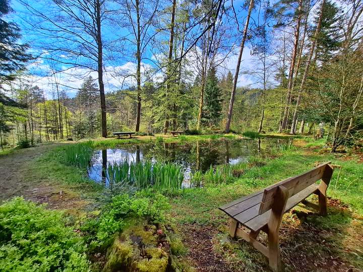 Der Mattenweiher
