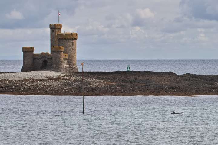 Delfine und Tower of Refuge